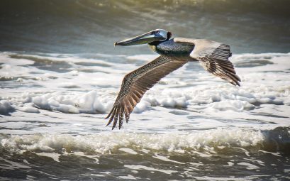 Port Aransas Beach, Texas