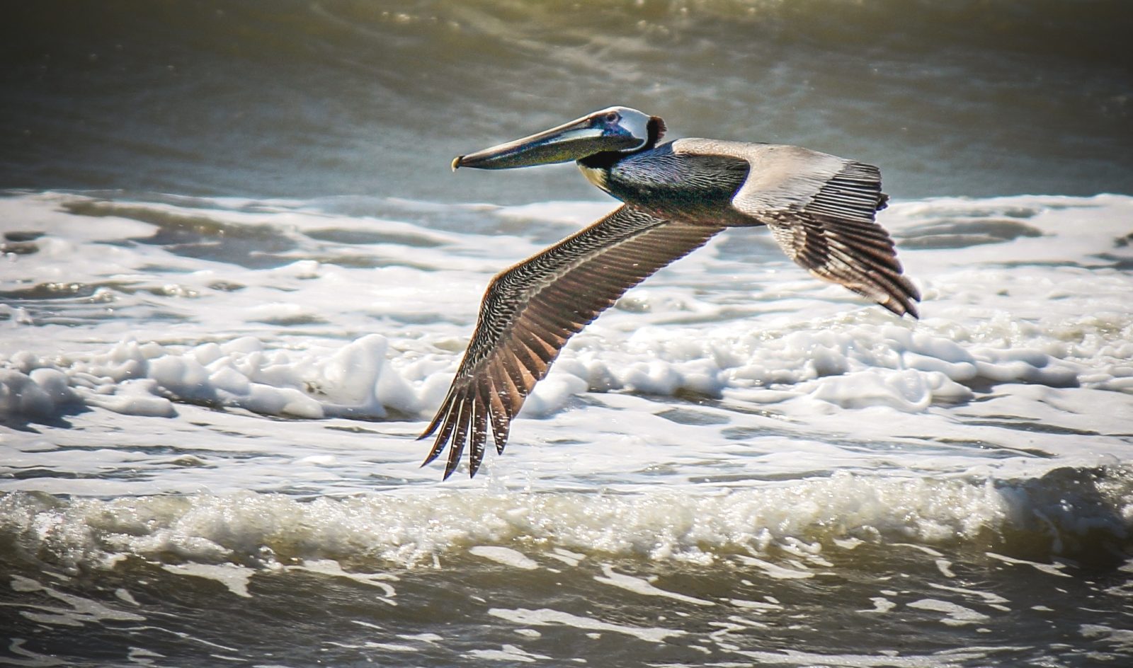 Port Aransas Beach, Texas